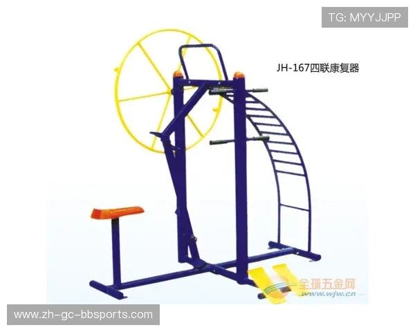 铝制健身器材的优缺点全面解析 铝制健身器材的优缺点全面解析